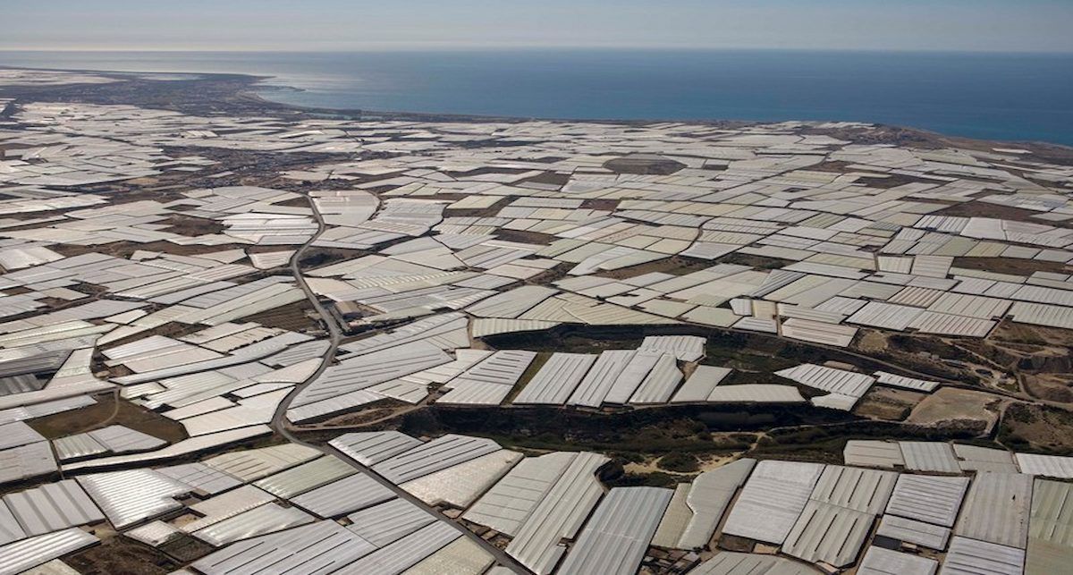 Además del impacto ambiental, el informe advierte que el actual modelo en España expulsa a pequeños y medianos productores en beneficio de grandes empresas y fondos de inversión. | Foto: Pedro Armestre / Greenpeace