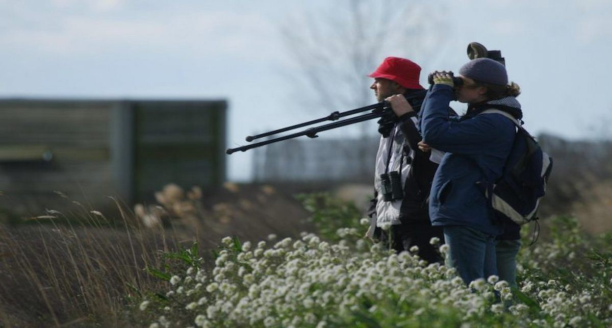 Desde SEO/BirdLife consideran que un turismo responsable y respetuoso con la naturaleza no sólo es posible, sino imprescindible para preservar el patrimonio natural para las generaciones futuras. | Foto: SEO/BirdLife