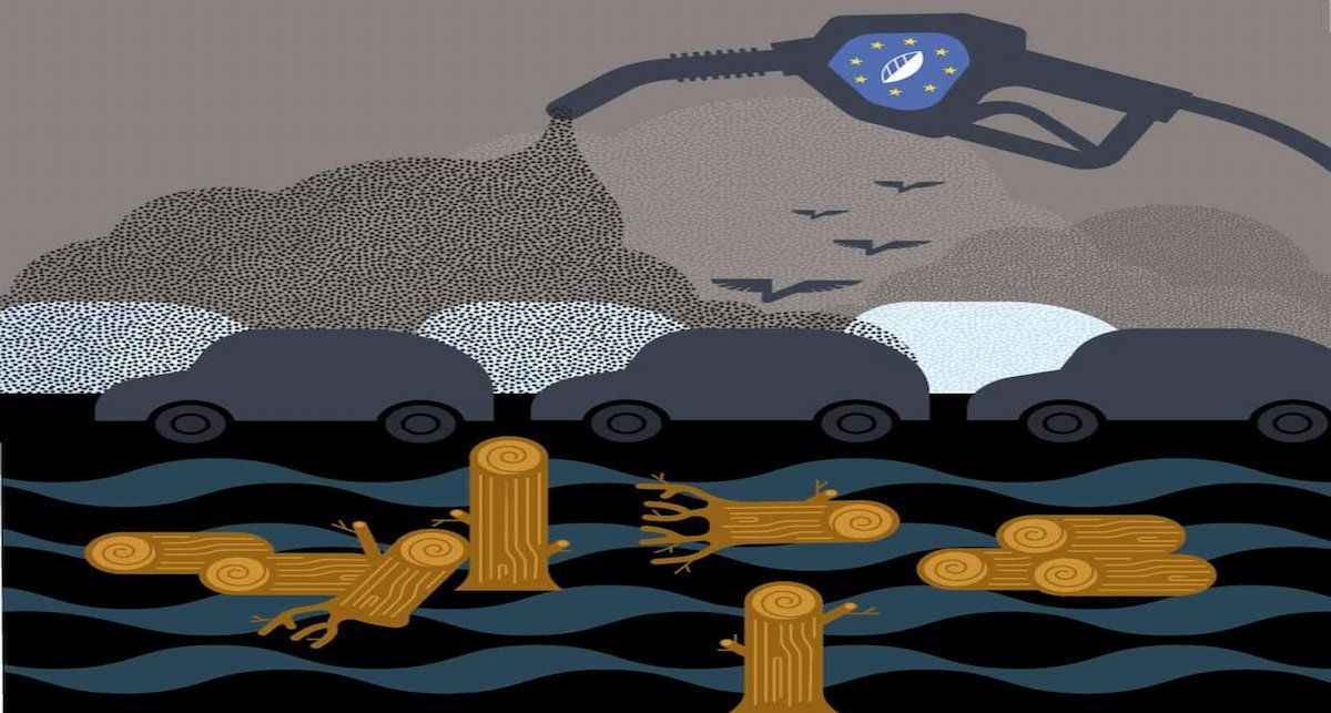 La organización ecologista recuerda que entre 2010 y 2020 las políticas europeas sobre biocombustibles contribuyeron a la deforestación de un área aproximada al tamaño de Países Bajos. | Foto: Imagen de campaña Ecologistas en Acción