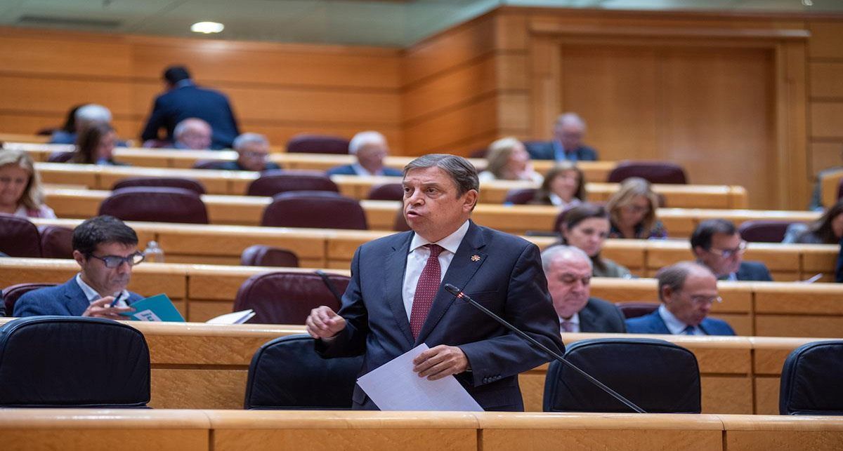 El ministro de Agricultura, Pesca y Alimentación, Luis Planas, durante su intervención en el Senado. | Foto: Pool Moncloa