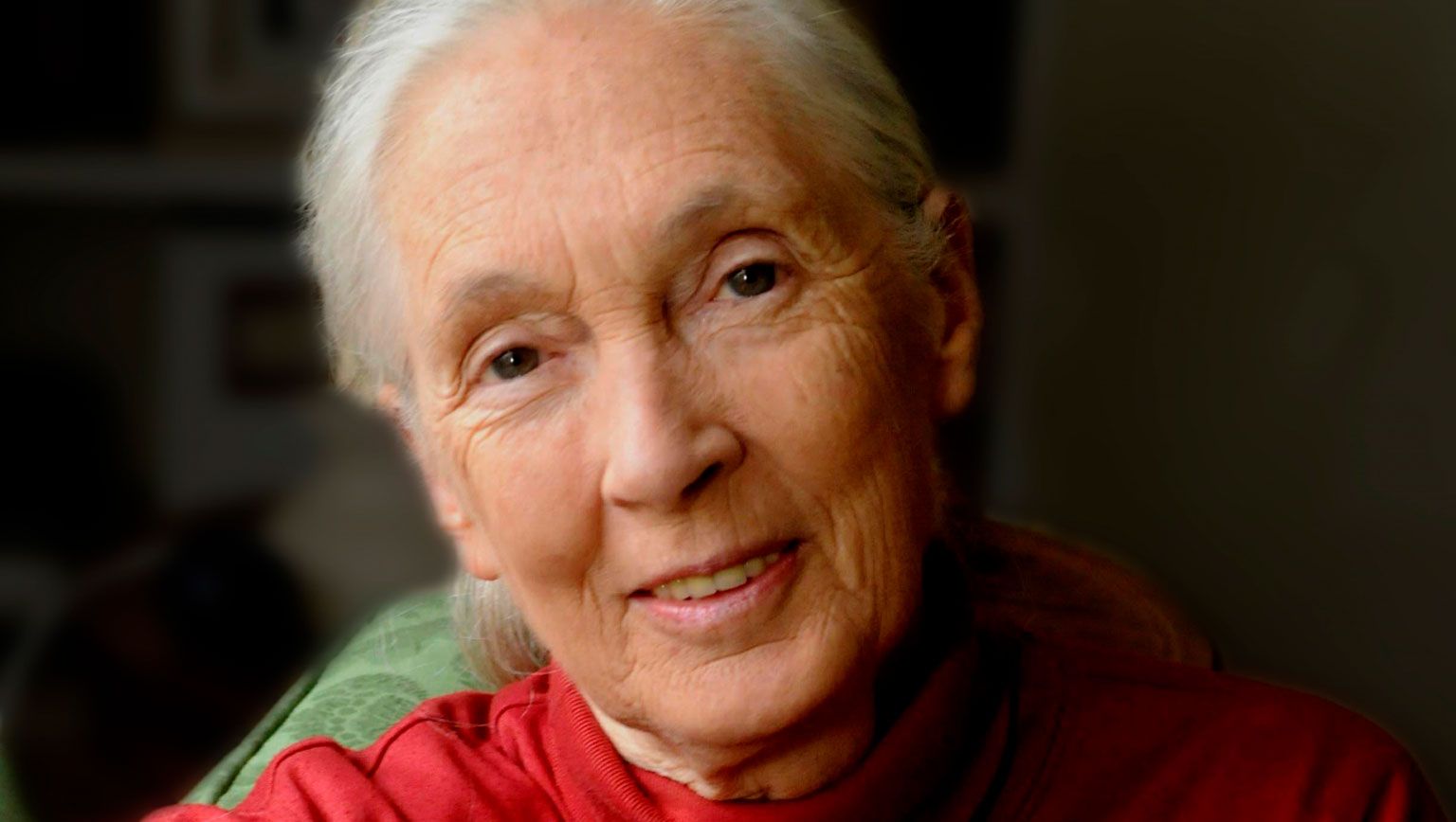 Jane Goodall 