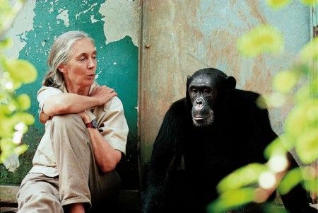 Jane Goodall en Gombe, junto a Freud  (Foto IJGMichael Neugebauer)