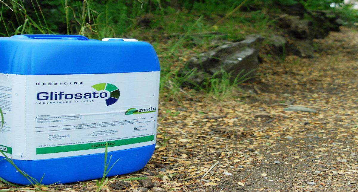 Es muy probable que la revisión de la Directiva de Sustancias Prioritarias, como el glifosato, sea finalmente aprobada a final de año, ya que fue adoptada por el Trílogo de la Comisión, el Consejo y el Parlamento Europeo. | Foto: Ecologistas en Acción