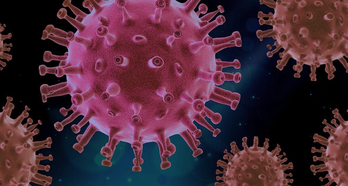 Virus del Covid-19 (el Sars-CoV-2). | Foto: Pixabay