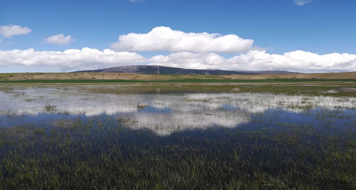 Laguna kárstica en zona de influencia de la macrovaquería. | Foto: Ecologistas en Acción