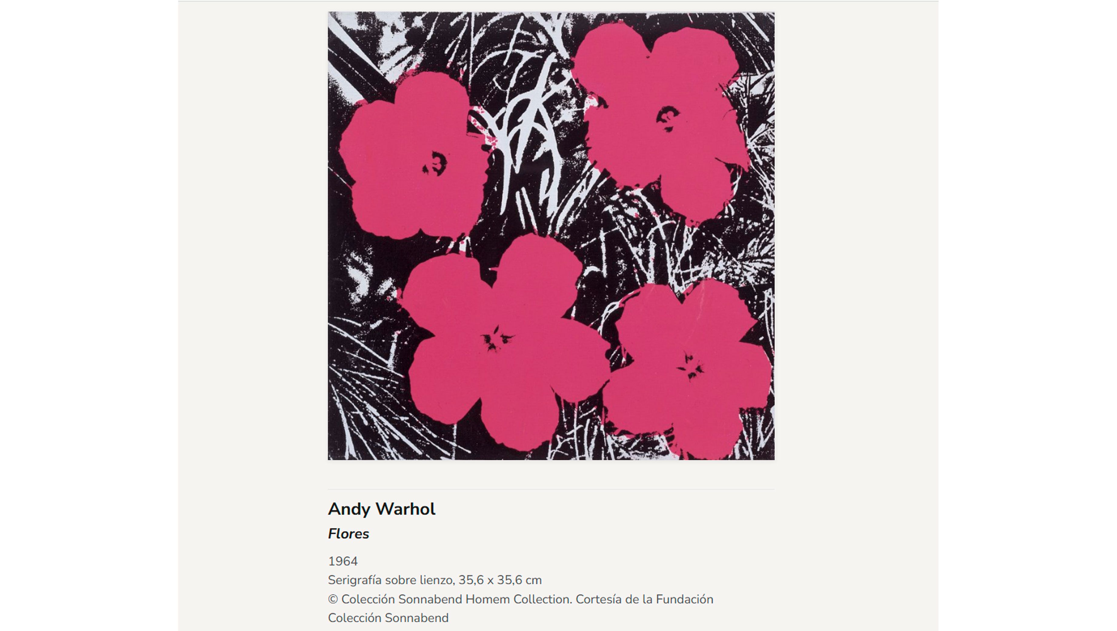 Andy Warhol flores