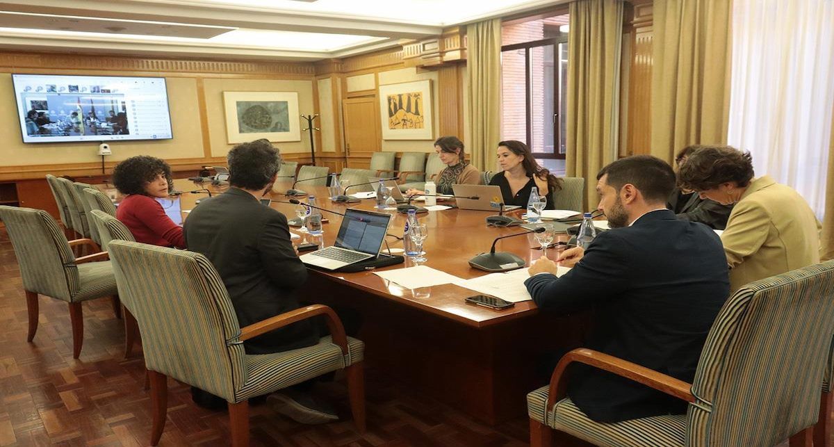 El ministro de Derechos Sociales, Consumo y Agenda 2030, Pablo Bustinduy, preside por videoconferencia el pleno del Consejo Territorial de Servicios Sociales y del Sistema para la Autonomía y Atención a la Dependencia de las comunidades autónomas.| Foto: Pool Moncloa