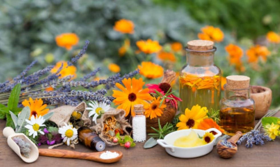 Homeopatía en el cáncer Homeopatía en el cáncer