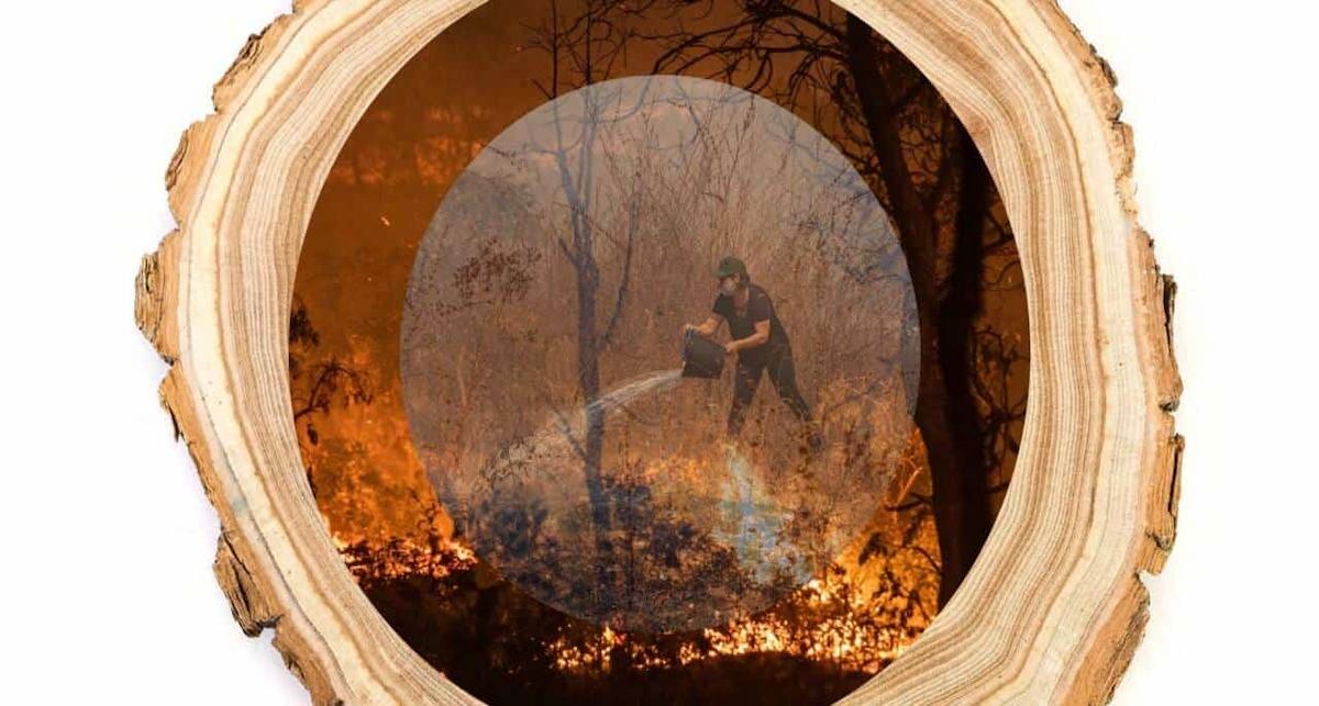 La UE es, por su consumo, el segundo mayor importador de deforestación tropical vinculada a productos básicos como la soja, el aceite de palma y la carne de vacuno. La UE es, por su consumo, el segundo mayor importador de deforestación tropical vinculada a productos básicos como la soja, el aceite de palma y la carne de vacuno.