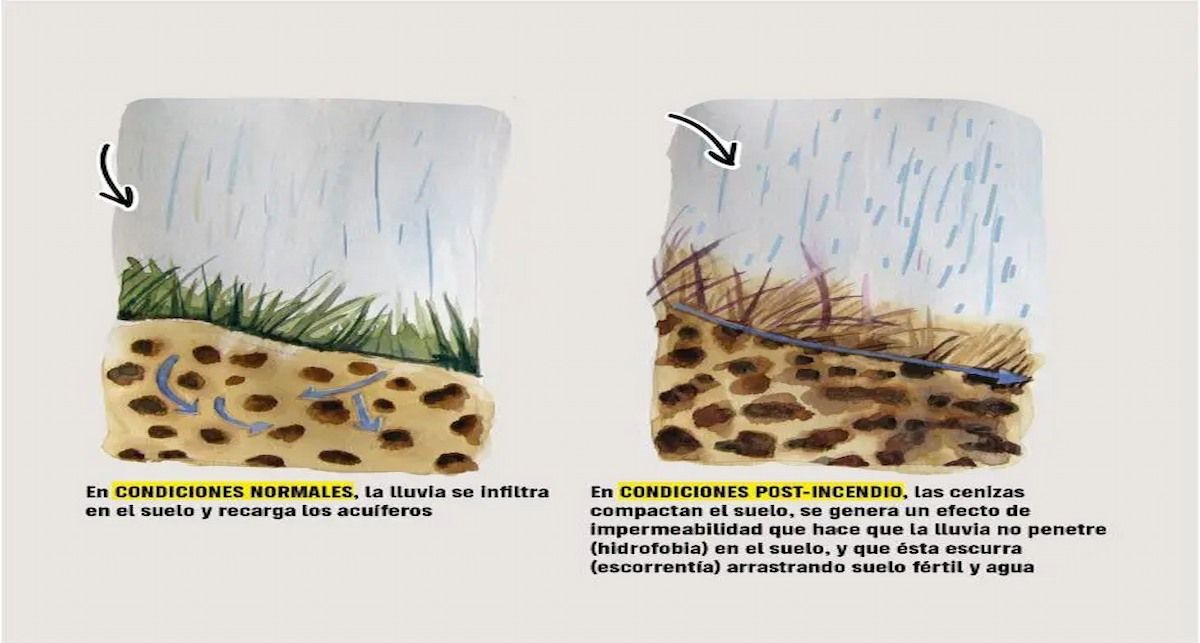 ilustracion incendios 730x628