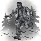 FrankensteinMary ShelleyCarola Mía310 páginas27,50 €