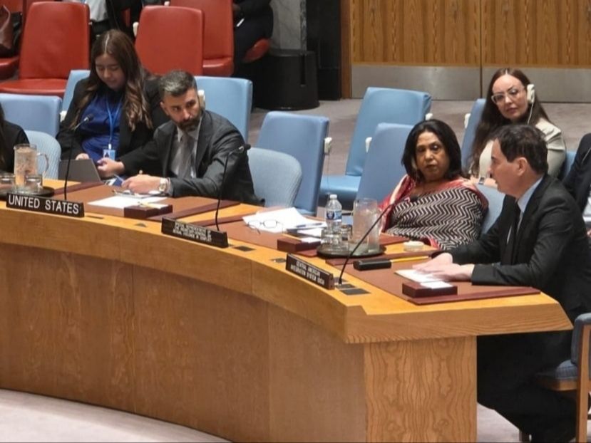 David Balsa en Nueva York ante el Consejo de Seguridad de la ONU