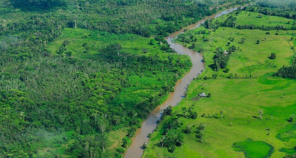 La selva amazónica, que cubre gran parte del noroeste de Brasil y se extiende a otros países sudamericanos, es la mayor selva tropical del mundo. | Foto: CIAT/Neil Palmer