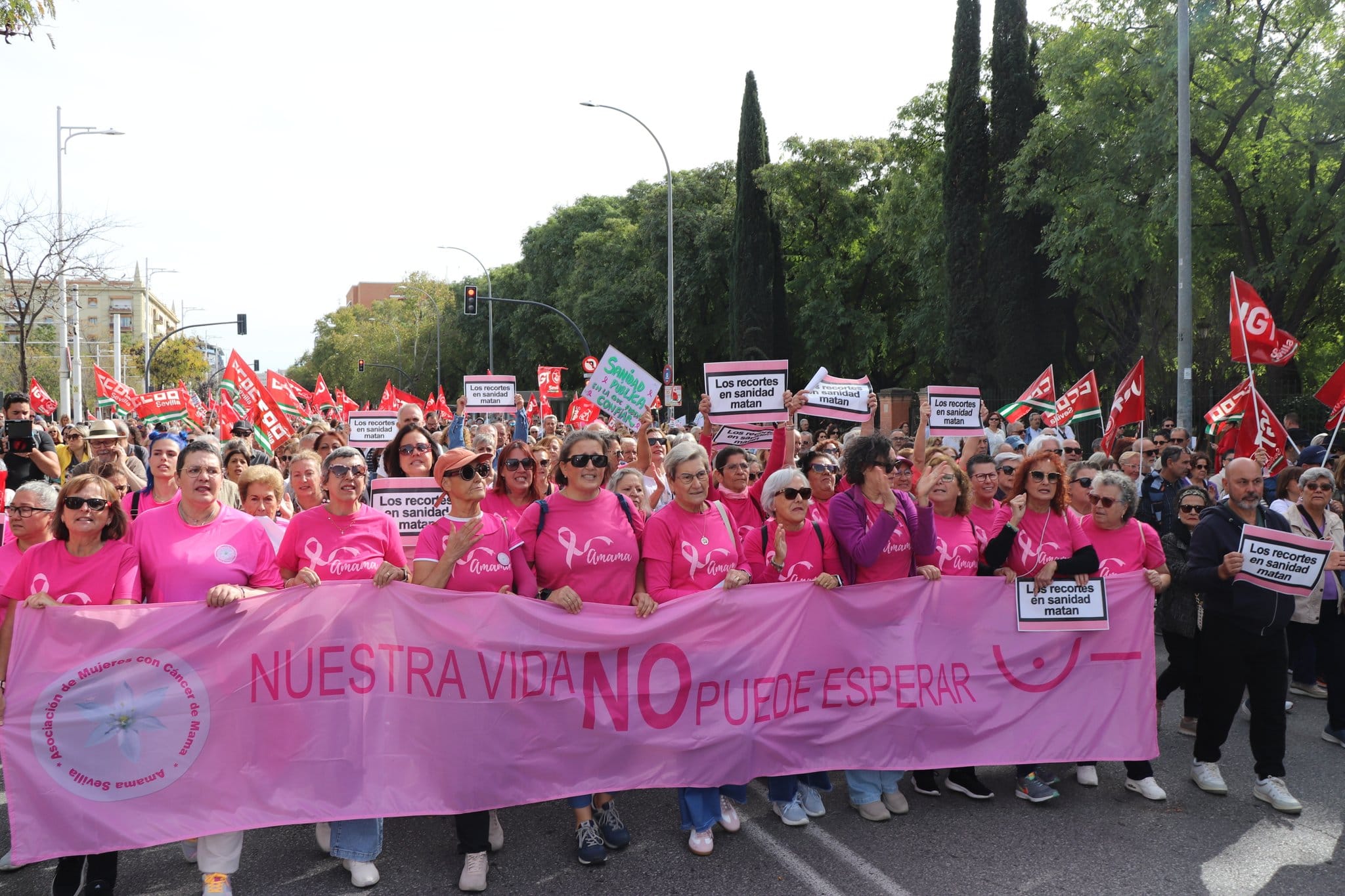 Miles de personas han salido a las calles de las ocho capitales andaluzas para protestar por la privatización de la sanidad emprendida por Moreno Bonilla.