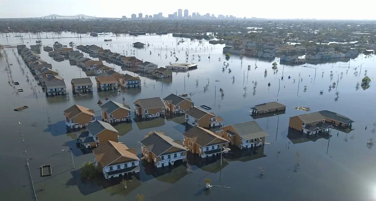 WWF subraya que los gobiernos y los reguladores financieros deben abordar las causas fundamentales, es decir, el cambio climático y la pérdida de naturaleza, si queremos que nuestras sociedades sigan siendo asegurables.