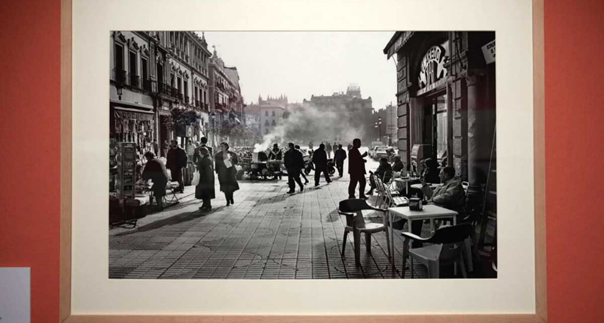 Exposicion Cajasol 500 años 05 Exposicion Cajasol 500 años 05