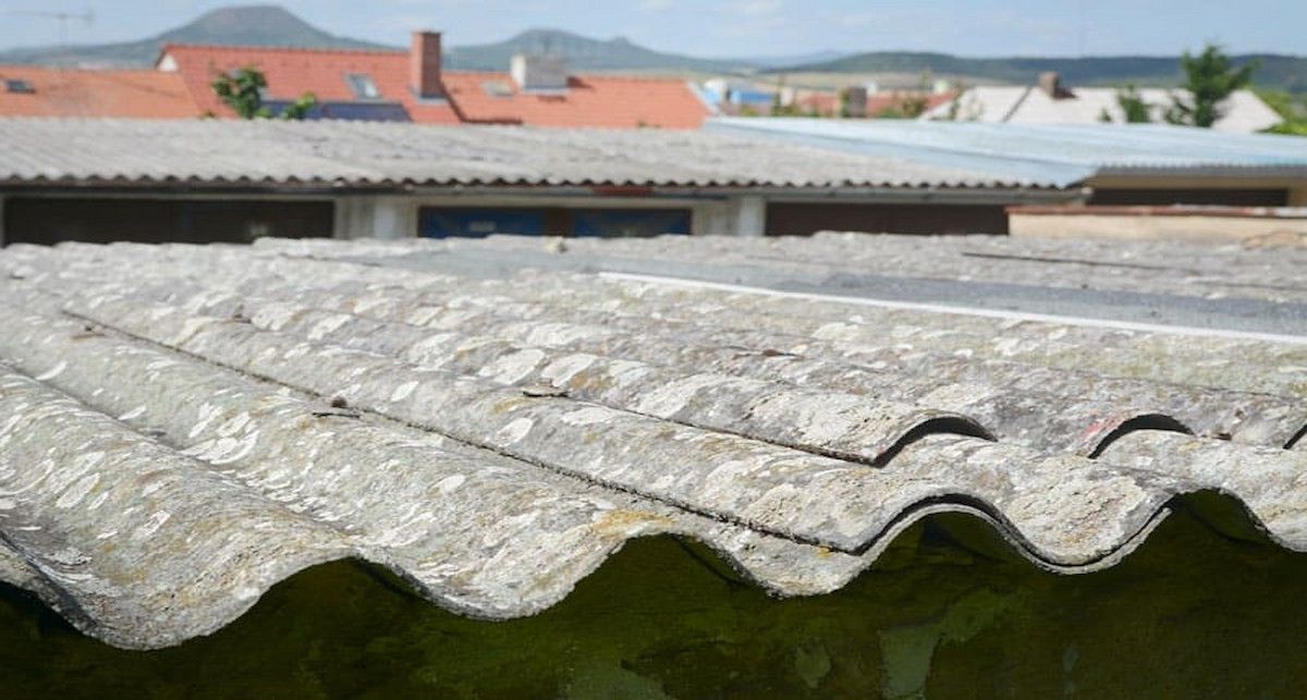 Las organizaciones ecologistas piden a la Junta regulaciones claras y planes de acción concretos para toda la población, no sólo para empresas.