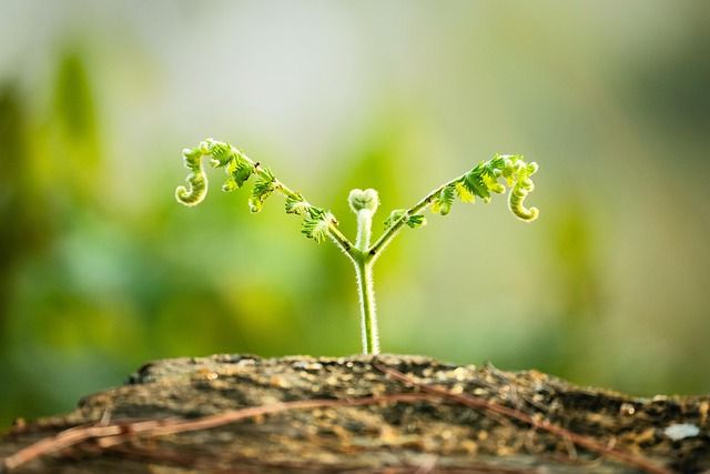 Seamos constructores amando; no destructores, con simientes de odio