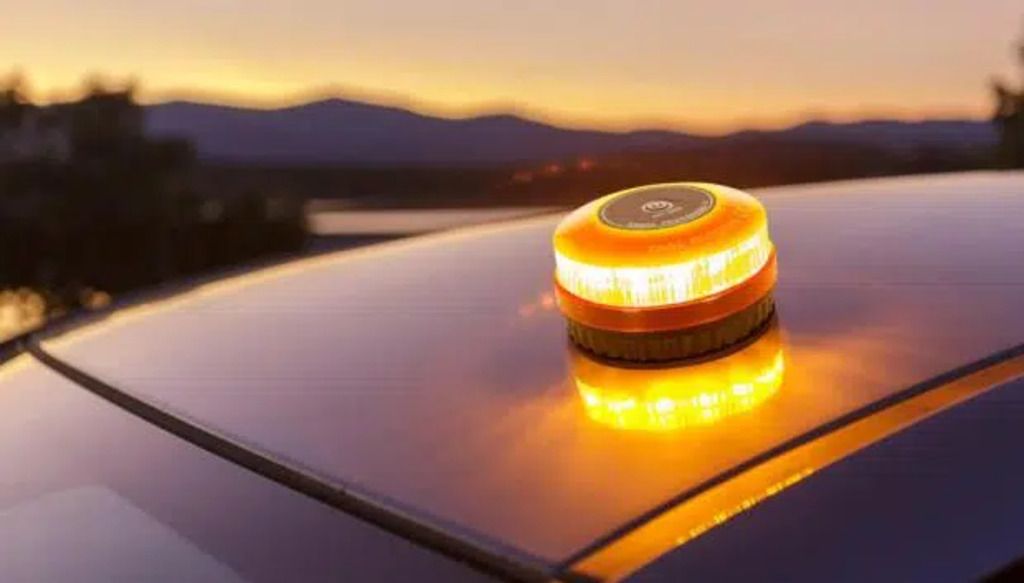 La V16 y el Estado pedagógico