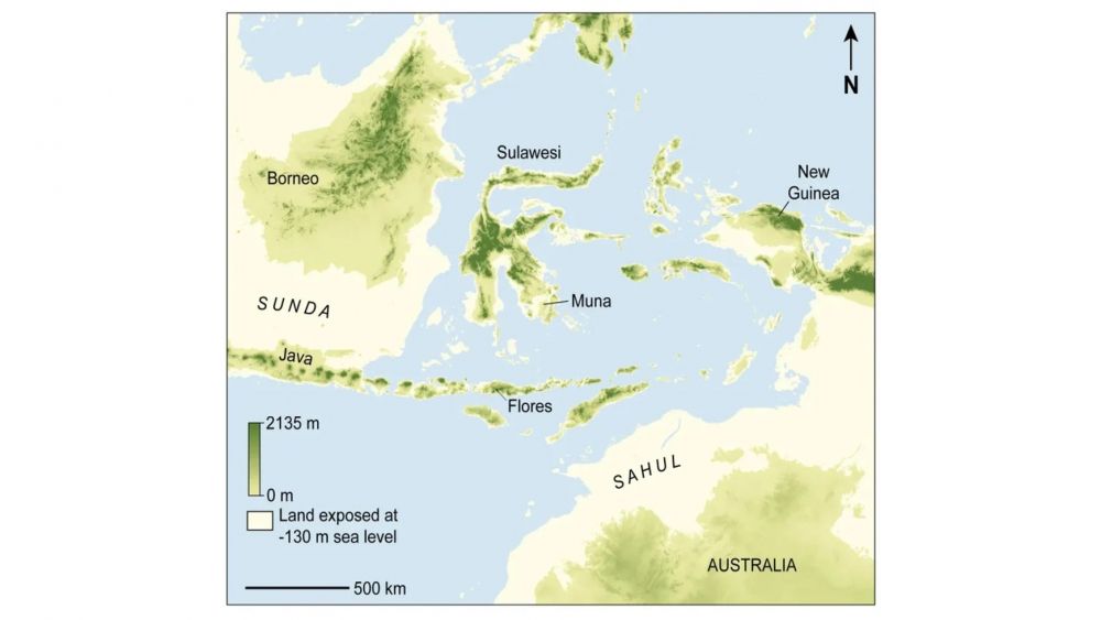 Un mapa muestra la isla de Muna, donde se encontró la plantilla de mano, y las masas de tierra ahora desaparecidas de Sunda y Sahul. M. Kottermair and A. Jalandoni/Griffith University