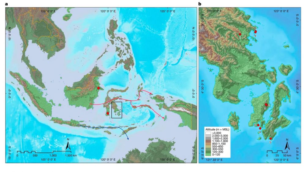 Un mapa muestra la isla de Muna, donde se encontró la plantilla de mano, y las masas de tierra ahora desaparecidas de Sunda y Sahul. M. Kottermair and A. Jalandoni/Griffith University