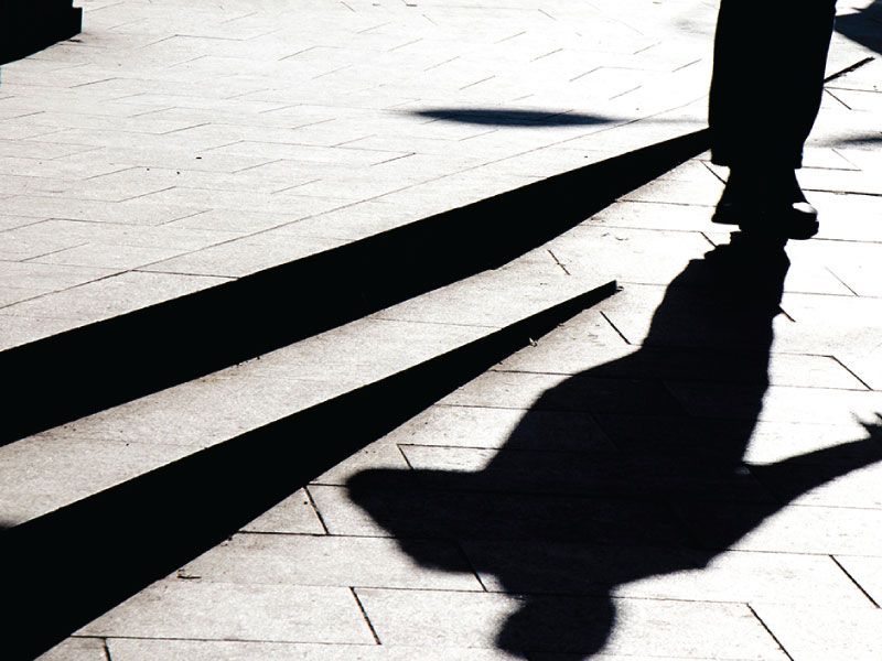 Perversión y adocenamiento