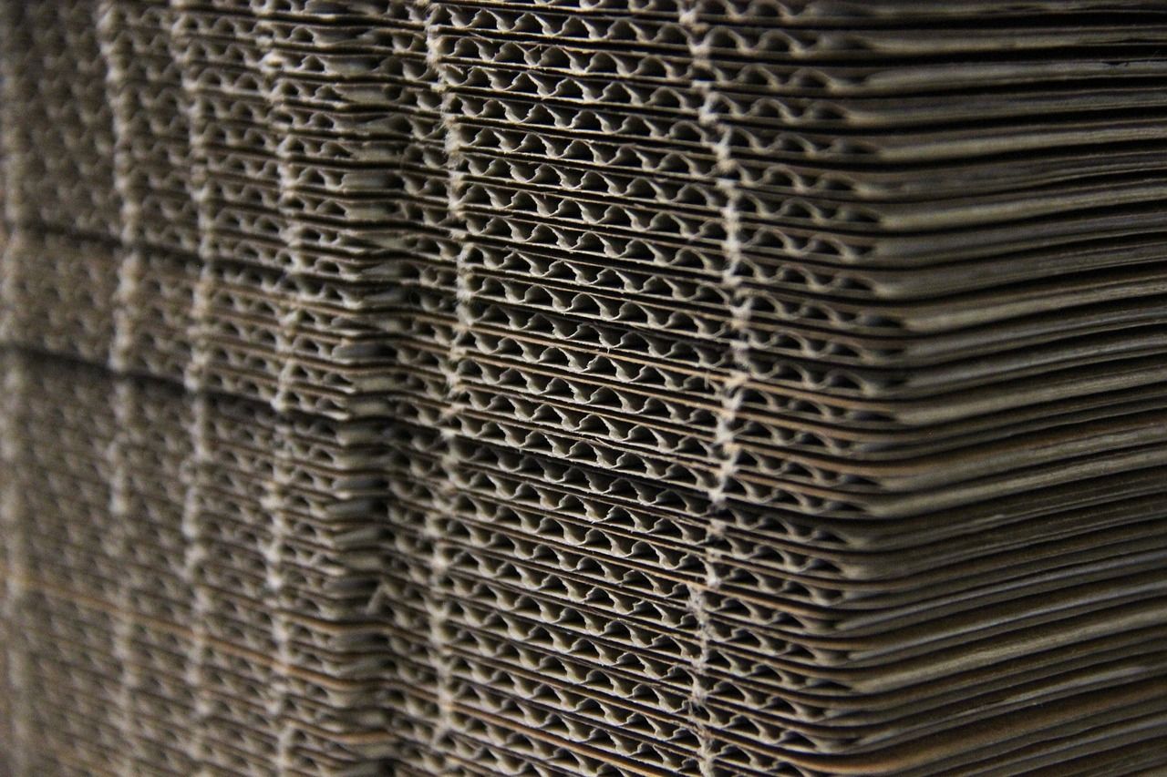 Guía práctica para crear un embalaje sostenible y ecológico