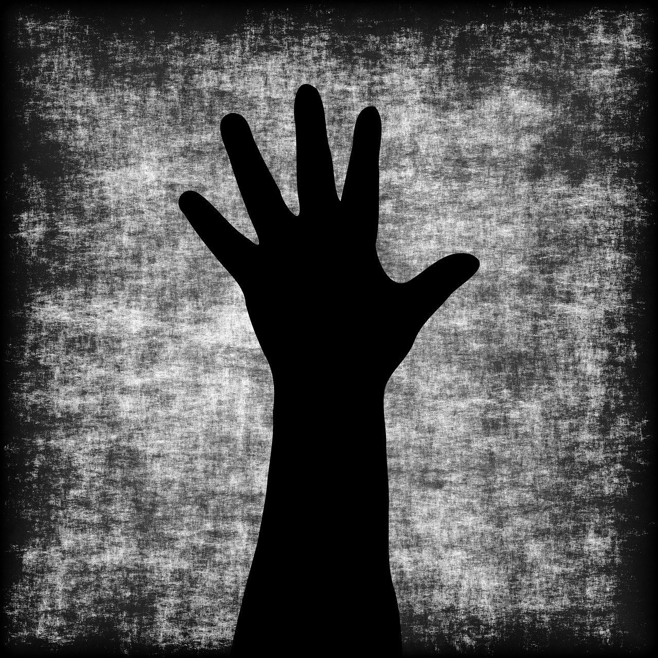 Un camino compartido; de asistencia y experiencia