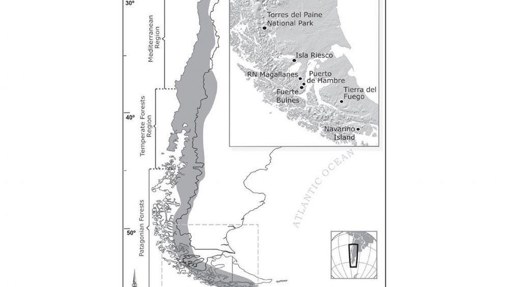 Ampliación del rango de distribución de Oligoryzomys longicaudatus (Rodentia, Sigmodontinae) en la Patagonia de Chile y primer registro de Hantavirus en la región