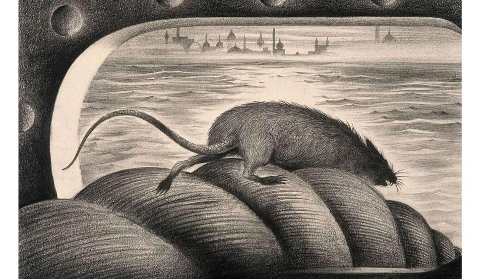 Rata abandonando el barco en una cuerda de amarre