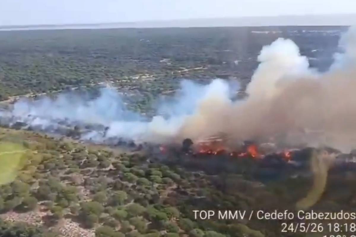 Fuego en Doñana