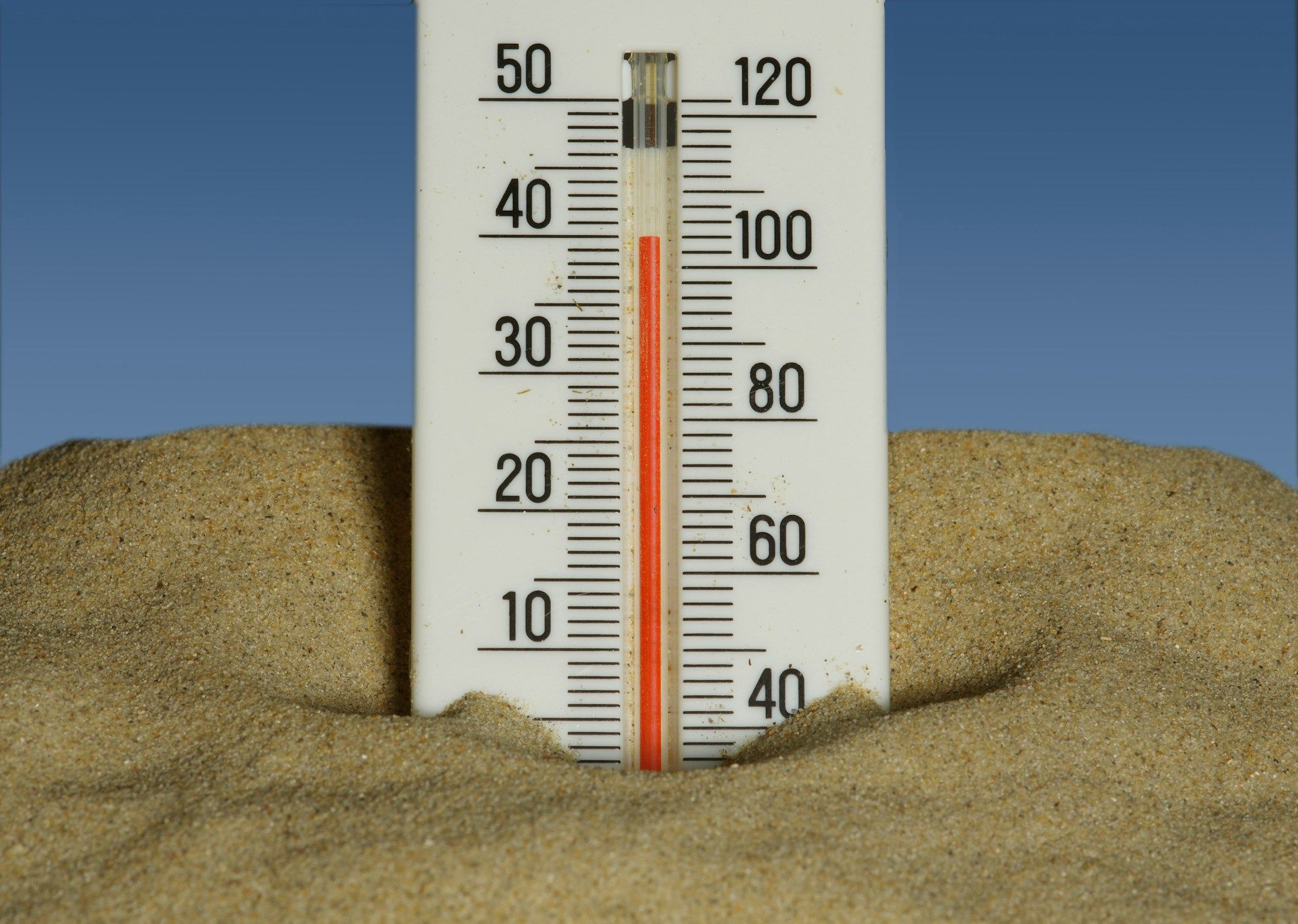 Año Calor