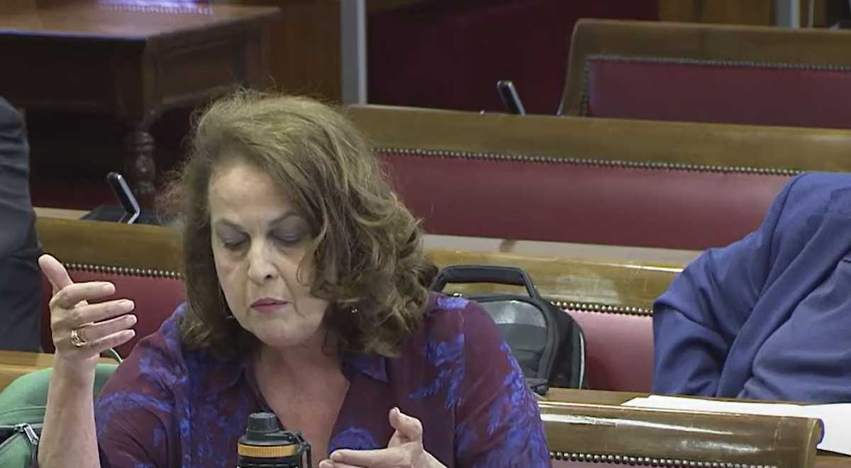 Carla Delgado se pregunta por qué la Comisión de Investigación del Senado nunca investiga nada que afecte al PP