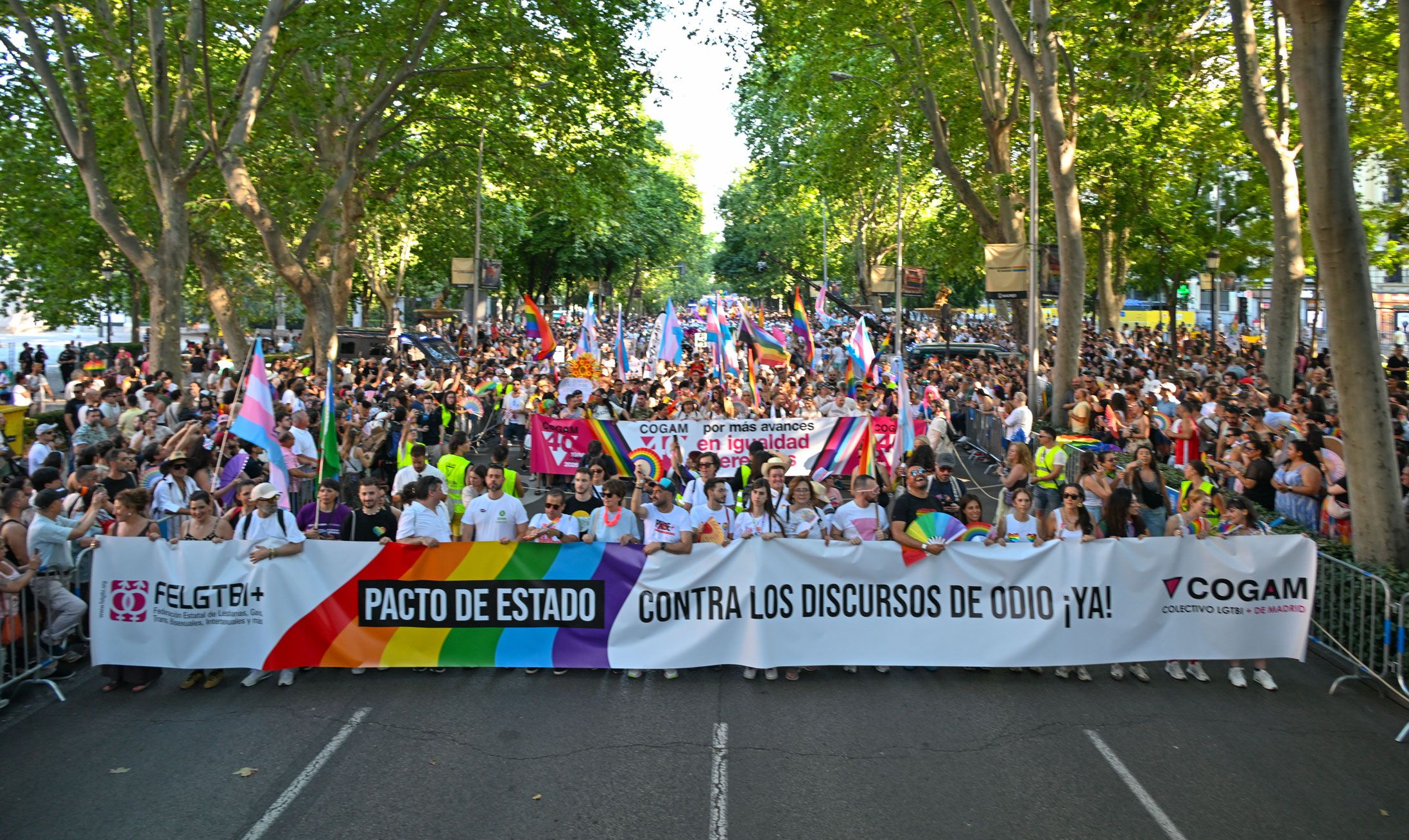 Manifestación estatal del Orgullo 2026, foto Agustín Millán