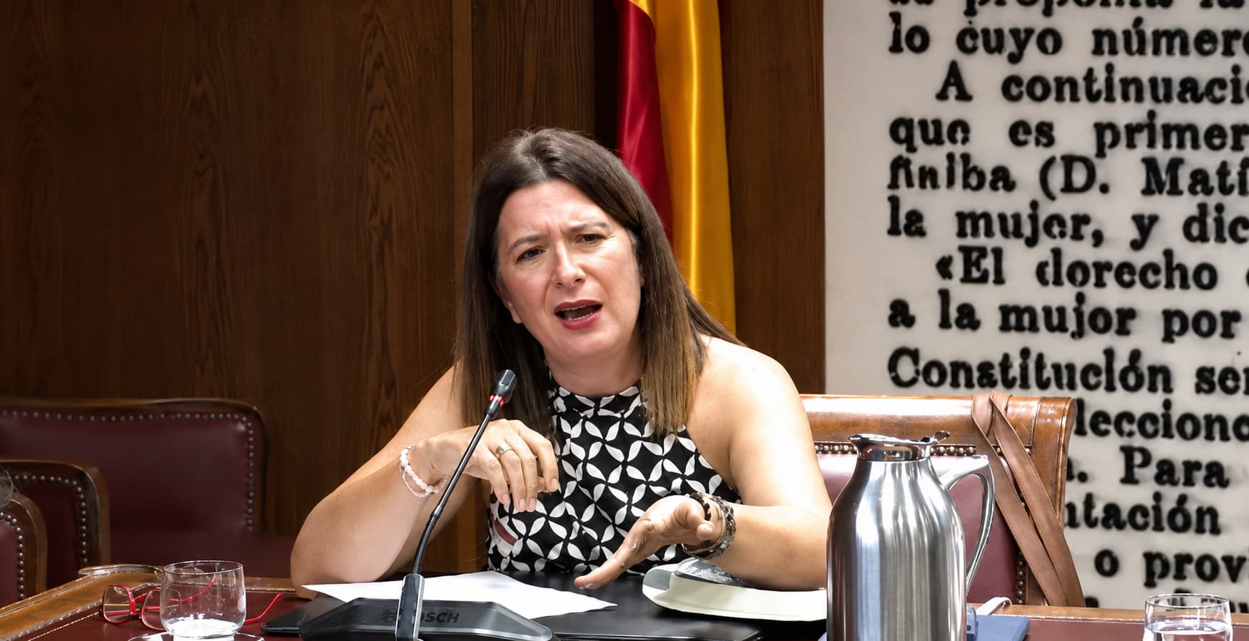 Leire Senado