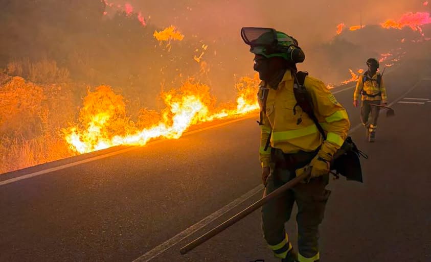 El incendio de Los Gallardos deja al menos once fallecidos y conmociona a Andalucía