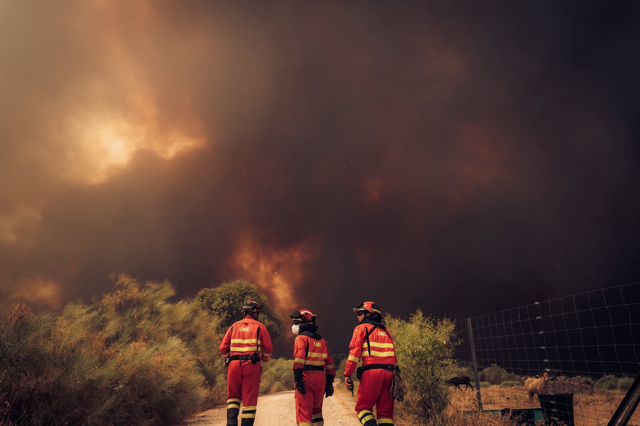 Ávila sufre el mayor incendio registrado en España: 50.000 hectáreas devoradas por un fuego histórico