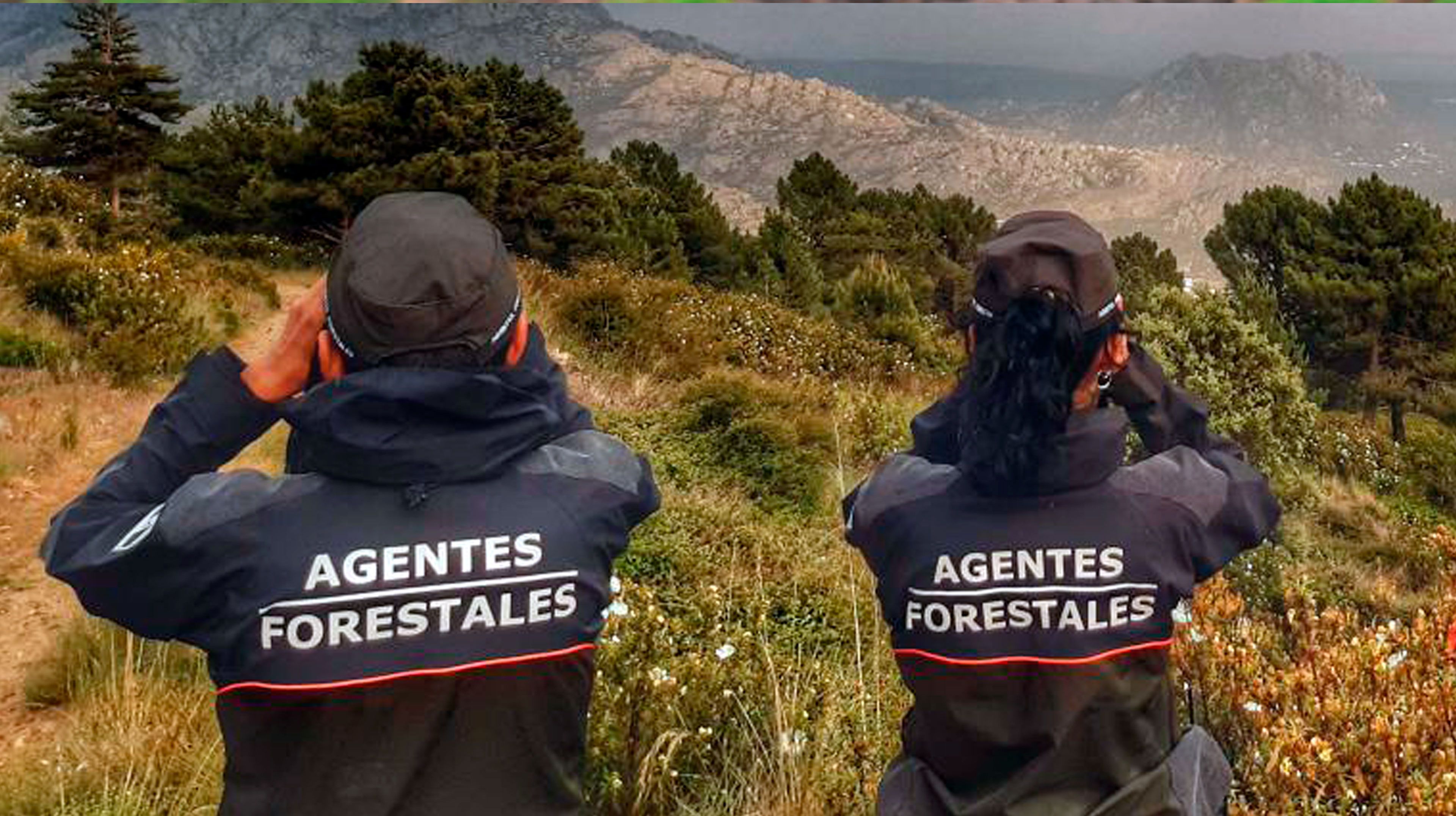 UGT CAF: Agentes Forestales de la Comunidad de Madrid