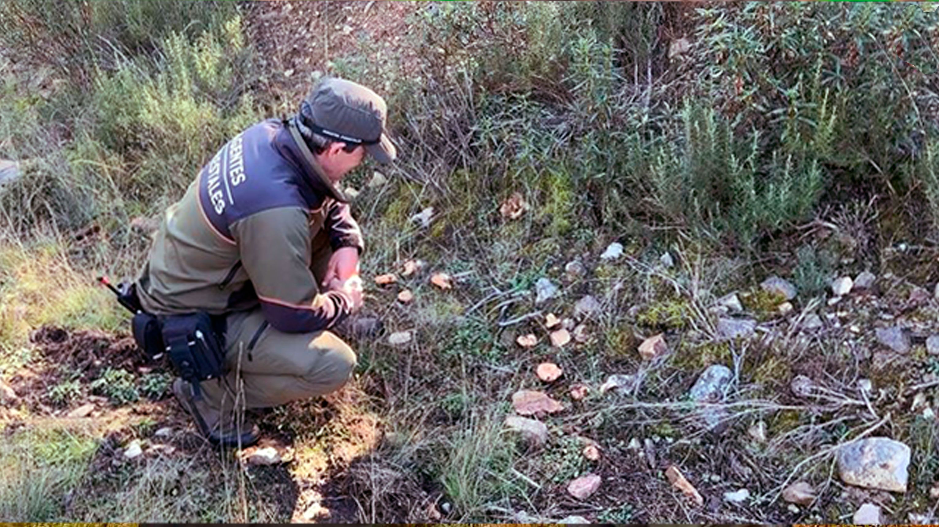 UGT CAF: Agentes Forestales de la Comunidad de Madrid