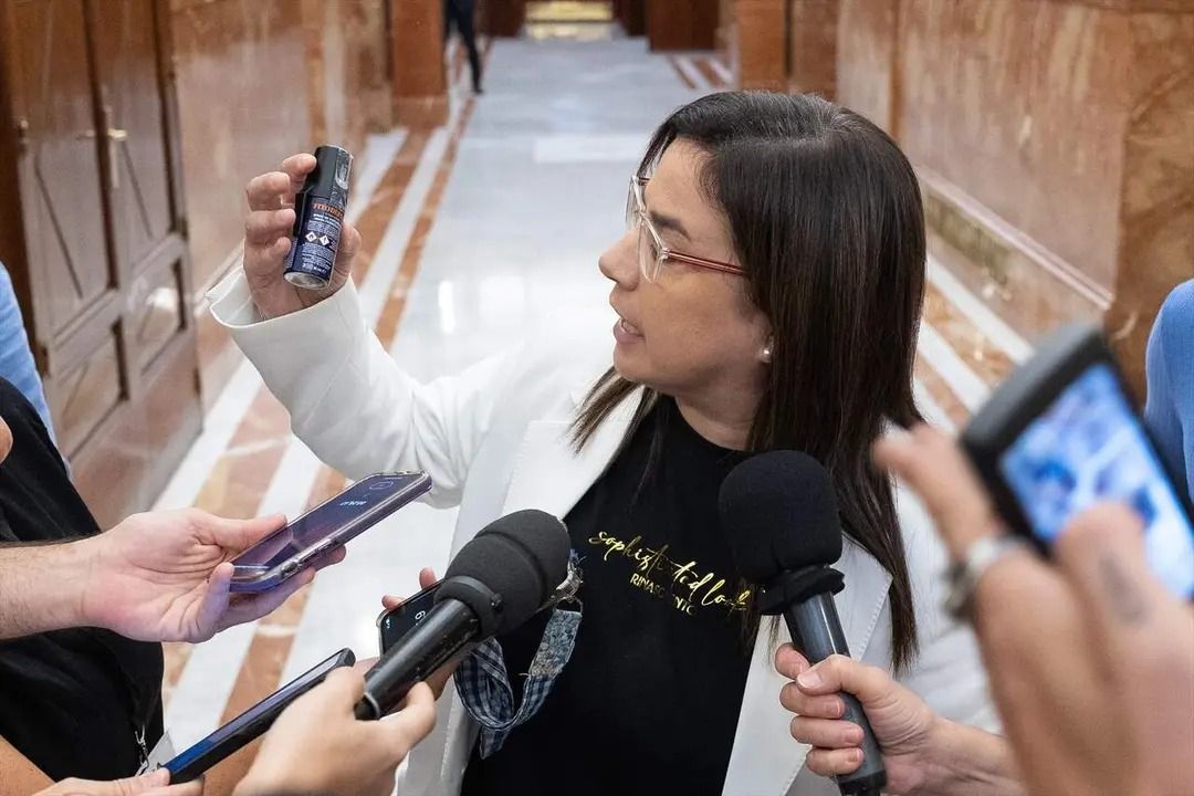 Ana Belén Vázquez en el Congreso