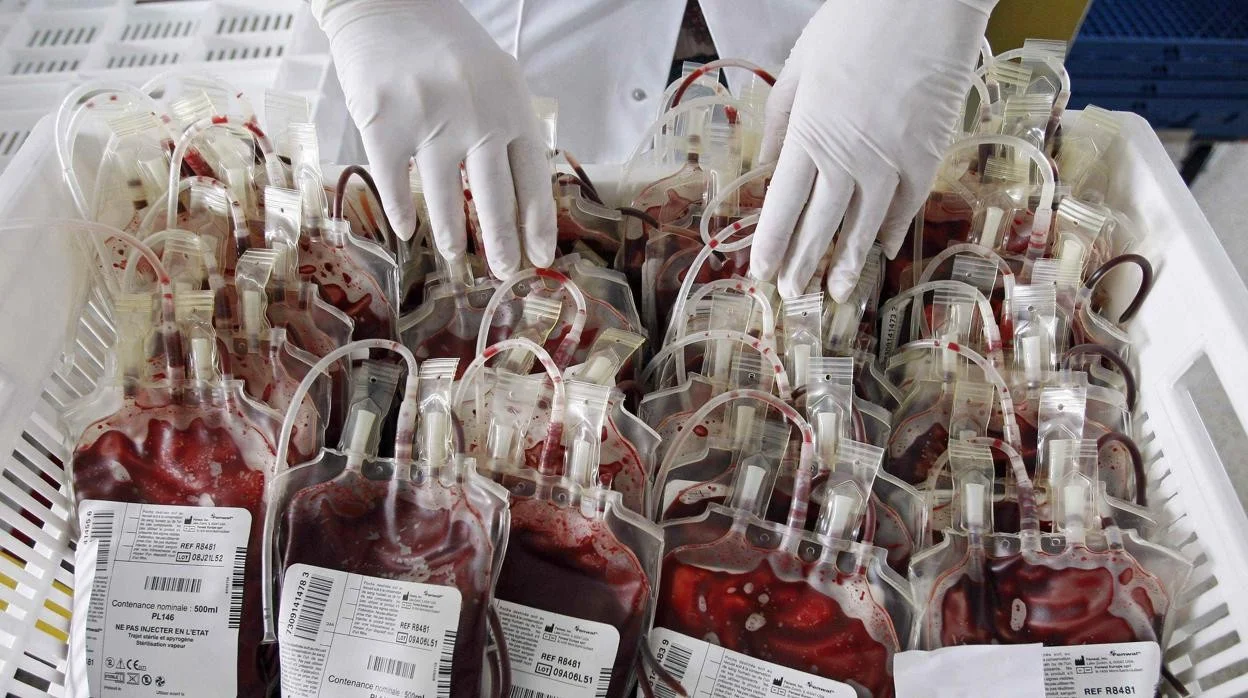 Oro rojo, el negocio de la sangre