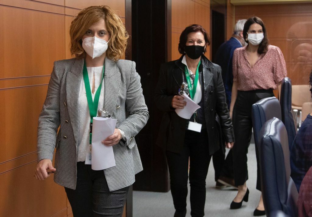 Irune Costumero se dirige a intervenir en una comisión del Parlamento Vasco