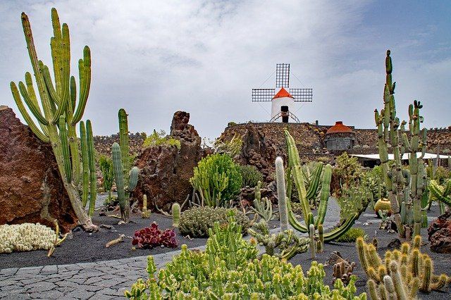 Lanzarote