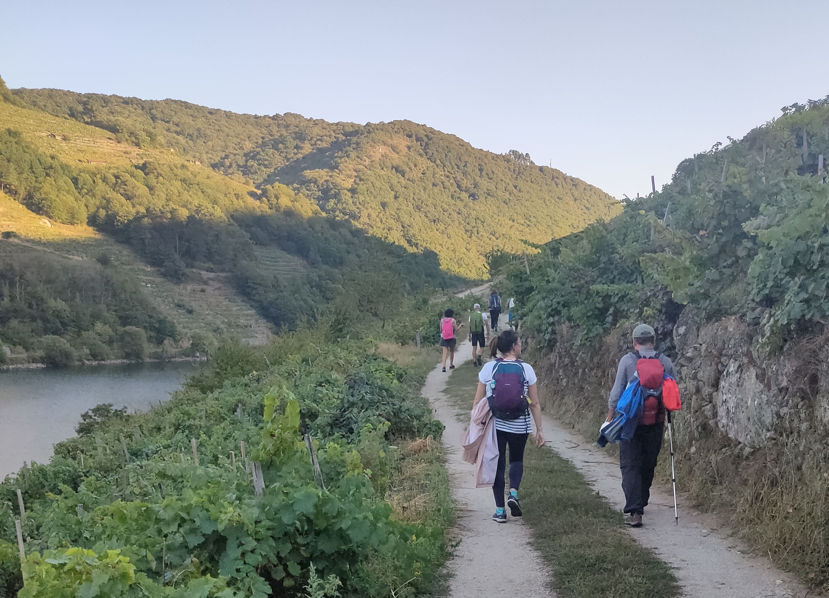Ponerse en camino; siempre vale la pena, aunque te caigas