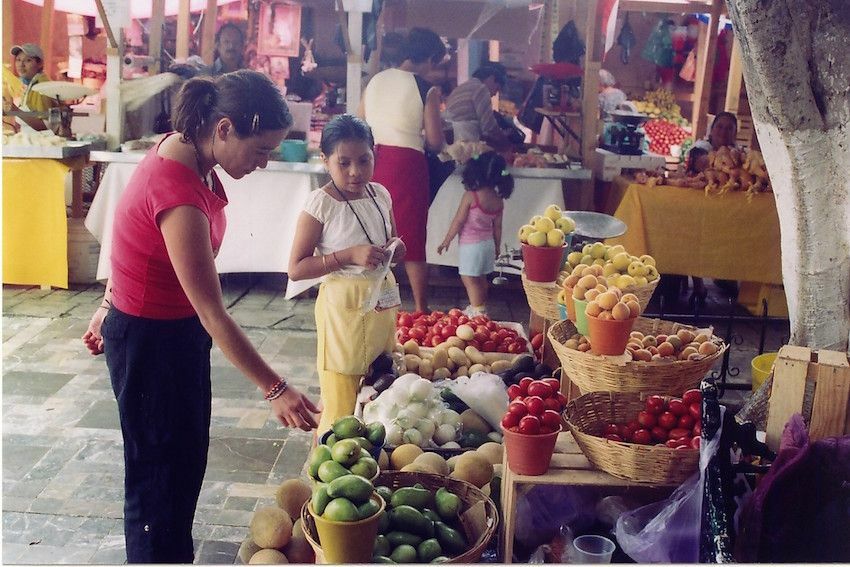 H Tuxtlad_M_Mercado