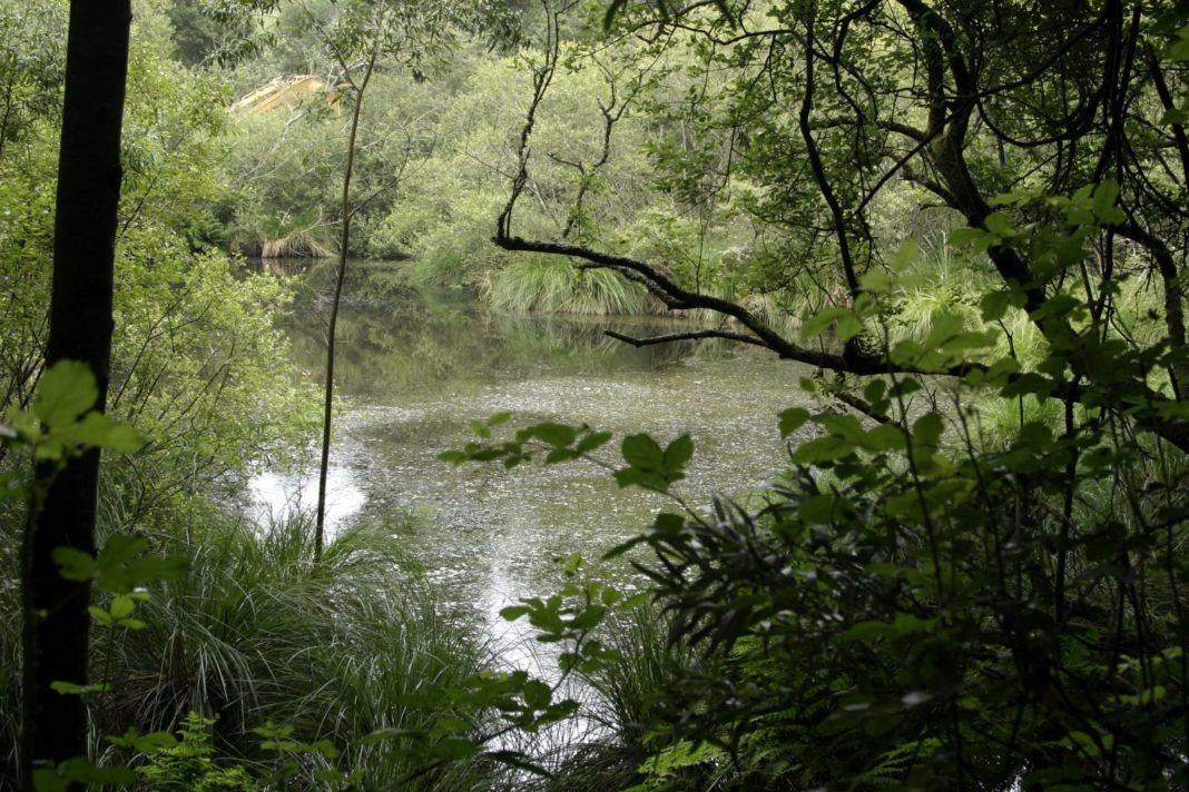 lagunas de Salave