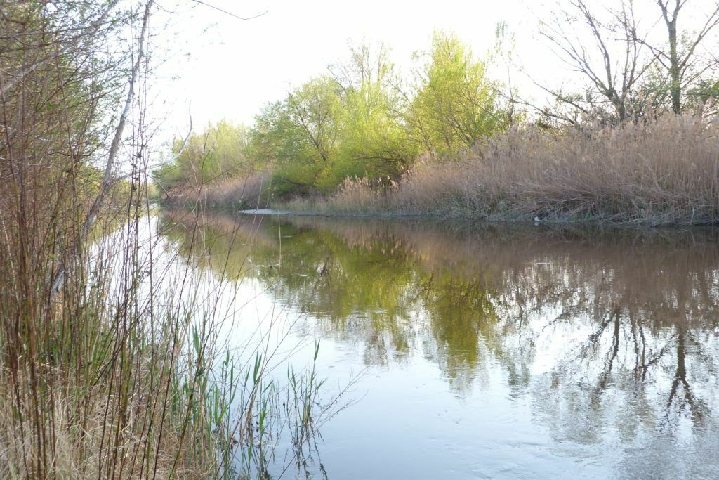 Rio_Gallego_cerca_del_Ebro-1024x683