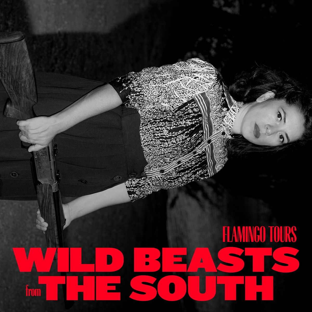 PORTADA ÁLBUM 'WILD BEASTS FROM THE SOUTH'