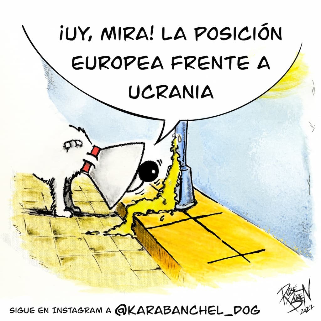 Karabanchel Dog Miedito