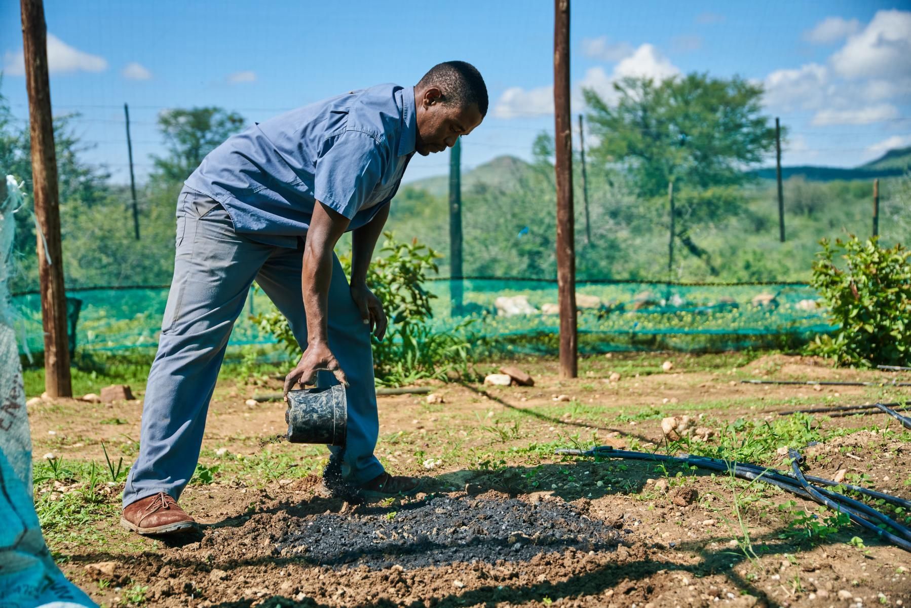 Biochar_Application